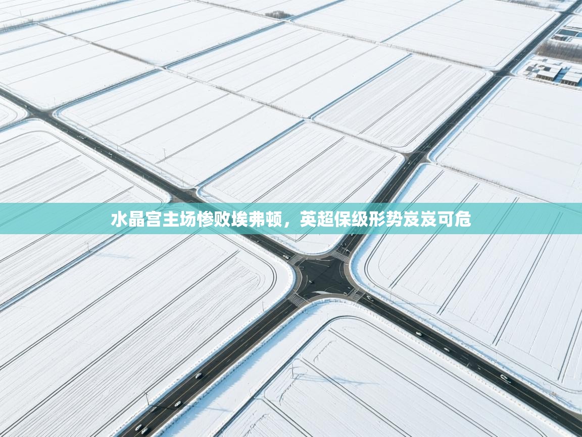 水晶宫主场惨败埃弗顿，英超保级形势岌岌可危  第2张