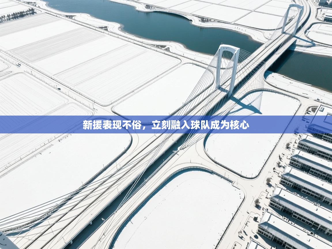 新援表现不俗,立刻融入球队成为核心 第1张