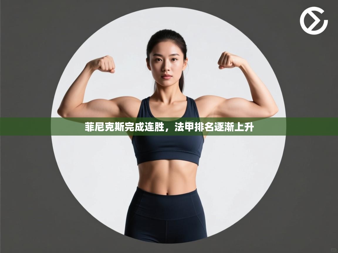 菲尼克斯完成连胜,法甲排名逐渐上升 第2张