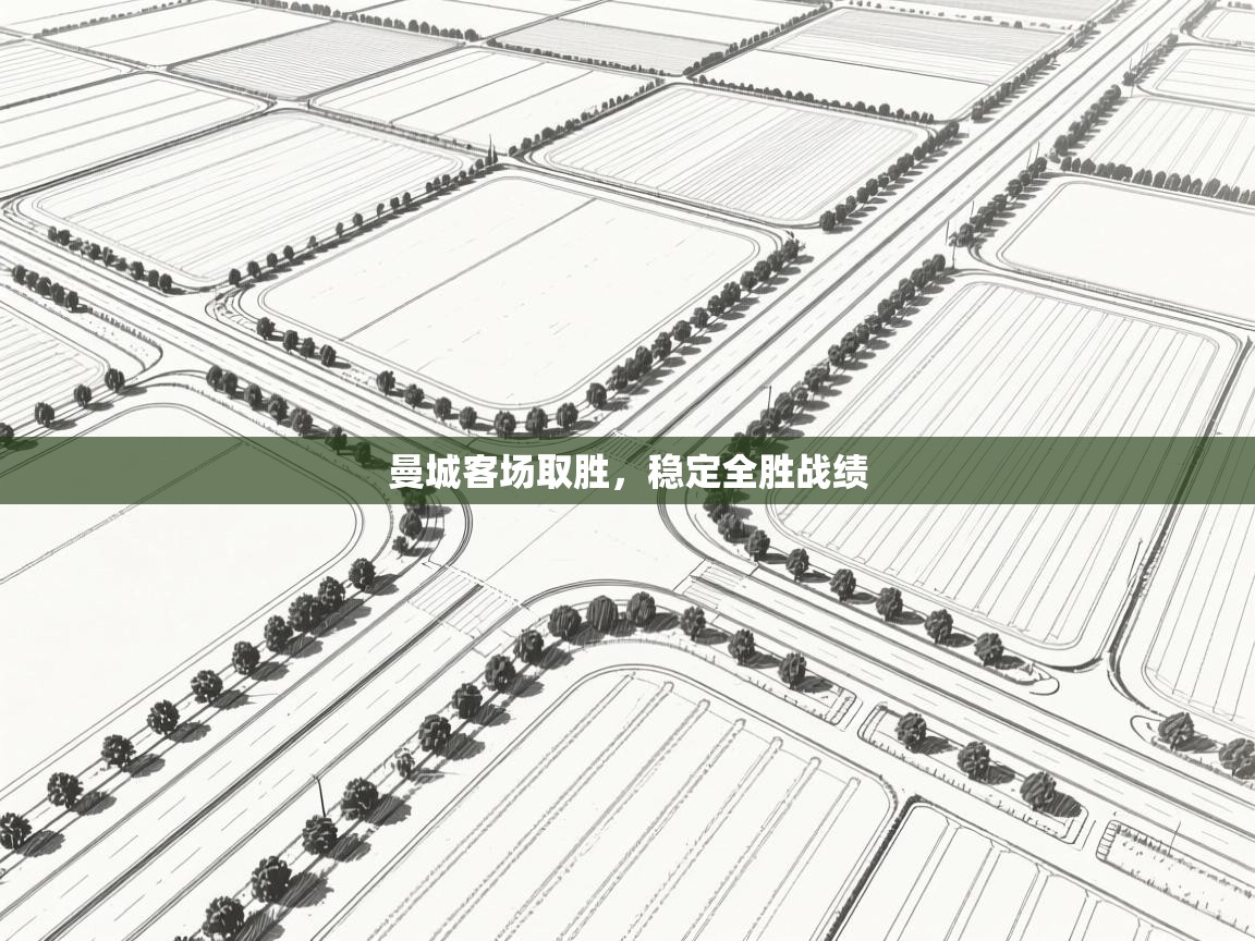 曼城客场取胜,稳定全胜战绩 第2张